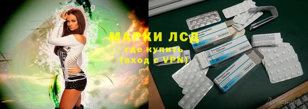ПСИЛОЦИБИНОВЫЕ ГРИБЫ Вяземский